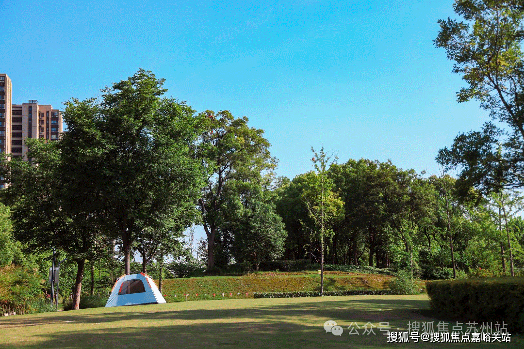 盘欢迎您-地址-价格-户型-小区环境-楼盘详情-交房时间-周边配套-售楼处电话麻将胡了网址保利海上臻悦(营销中心)网站-保利海上臻悦销售中心(售楼处)-楼(图11)